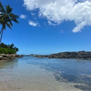 Meet your Posher, Bella